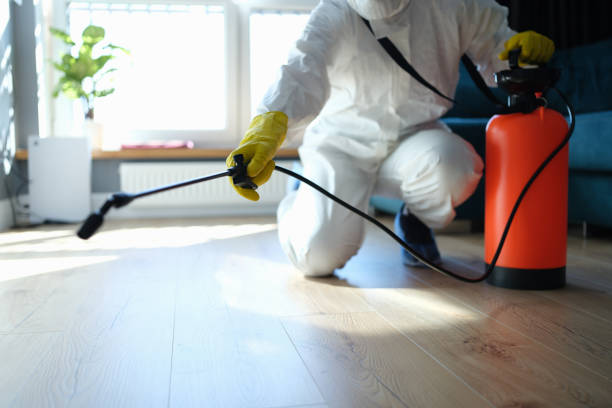 Reliable Odor Removal contractor in Lakewood, WA by Dulley Family Biohazard Services